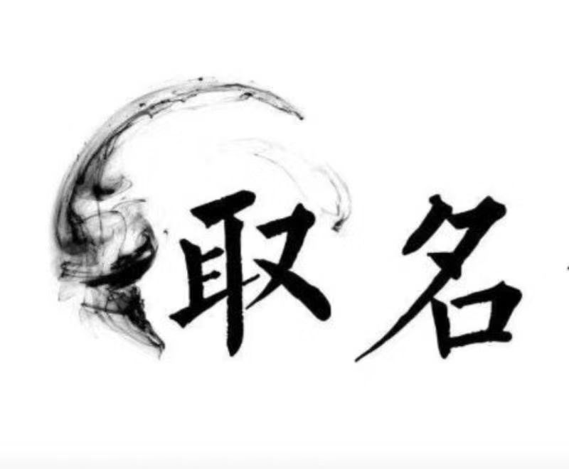  随州市宝宝取名 大师一对一人工起名